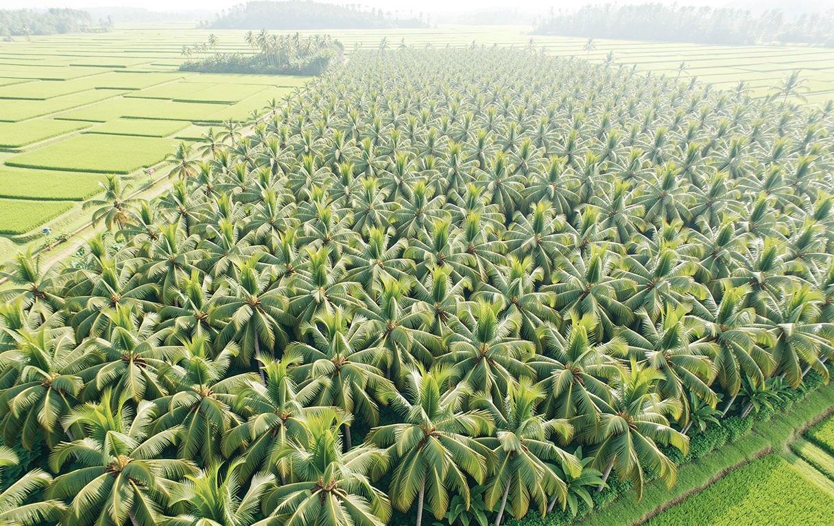 Mata Nyaman origin landscape